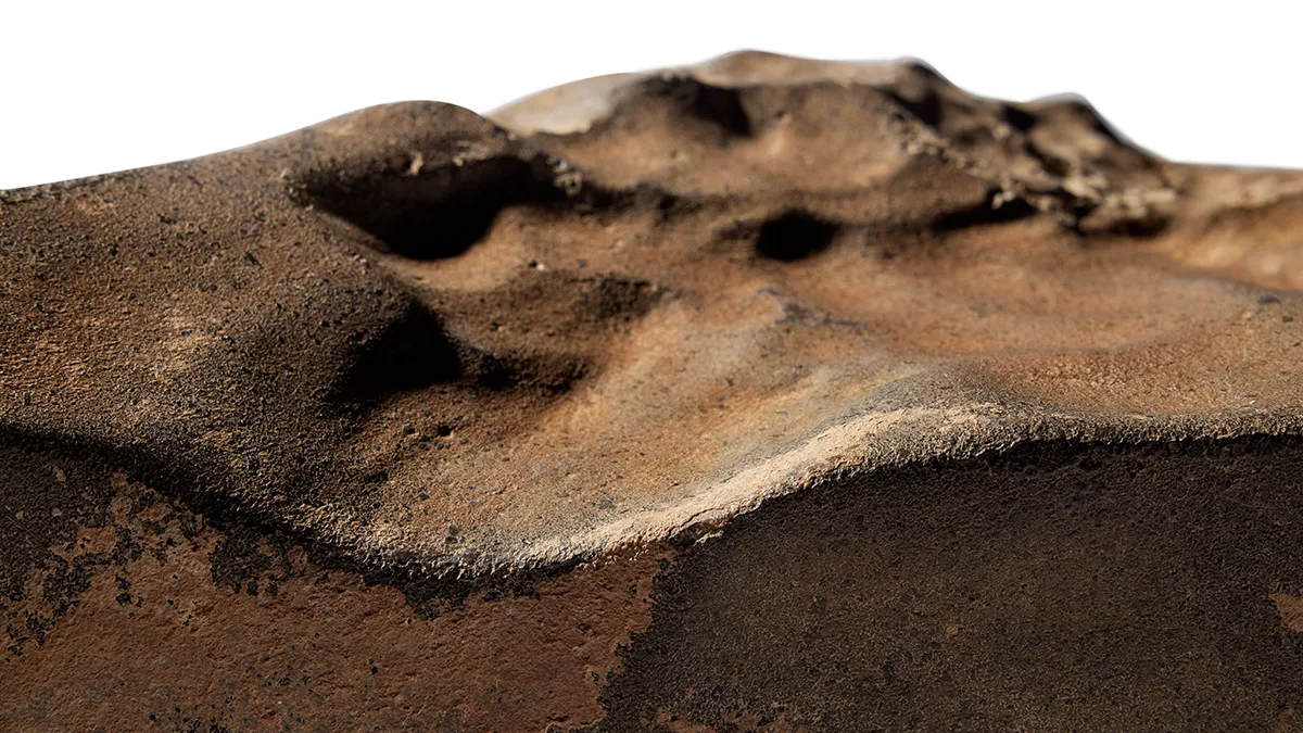 NWA 16788: the Martian meteorite that became an auction object