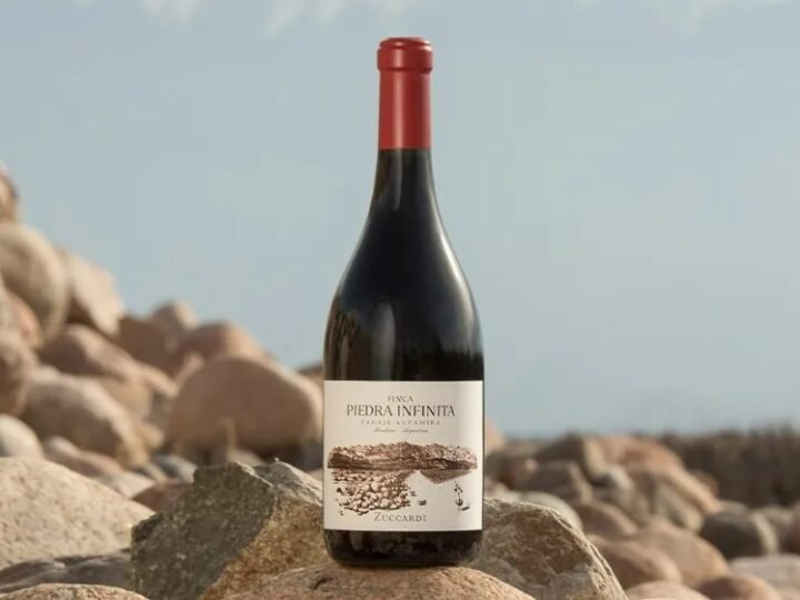 Zuccardi: a vineyard, parcel by parcel
