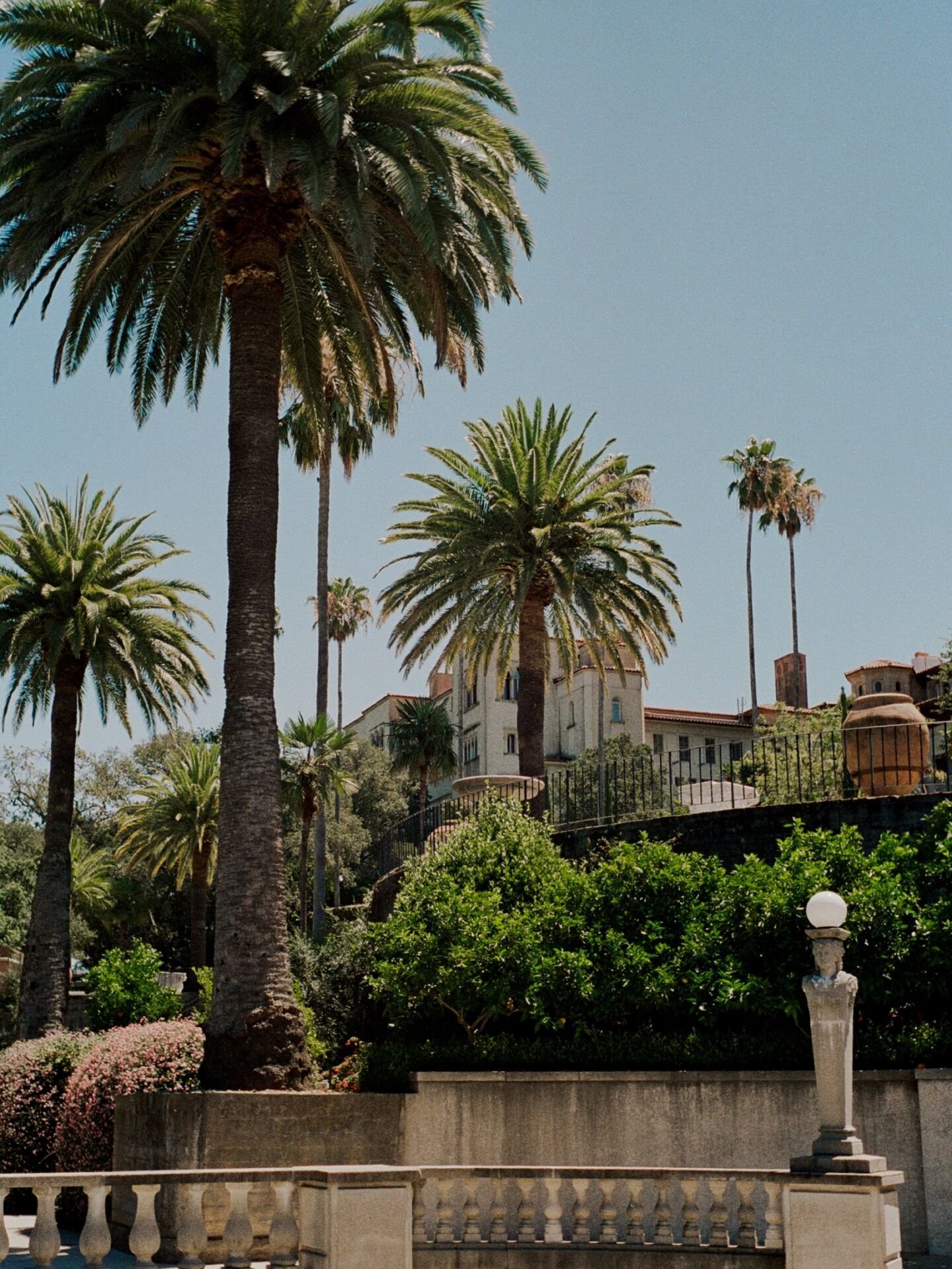 HEARST CASTLE. Casa Grande seen between the palms. Photo: @austiinjohn.