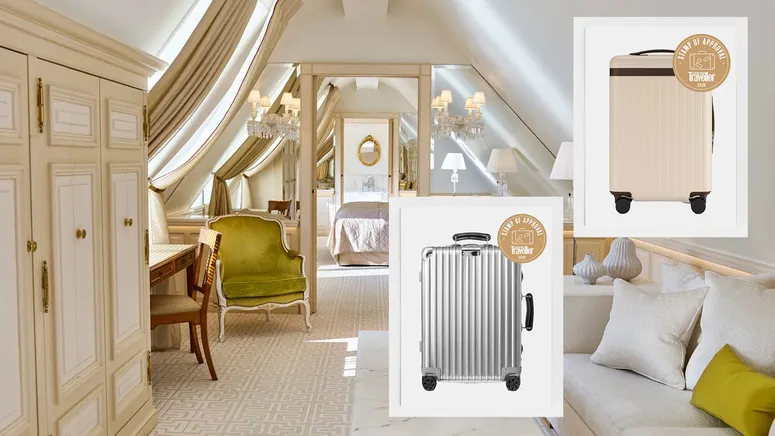 Cabin suitcases arranged side by side
