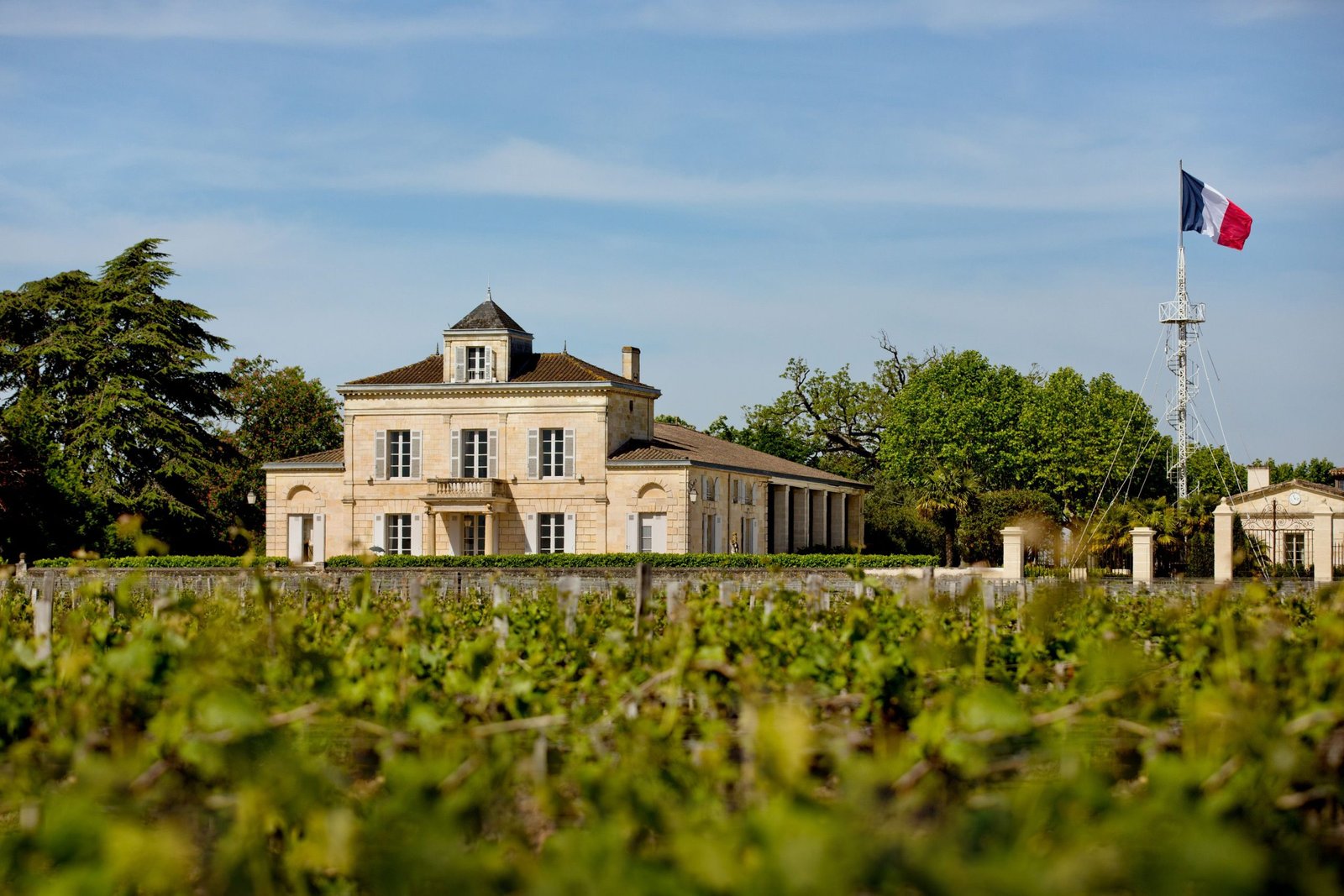 Château Montrose in Saint-Estèphe with vineyards in front