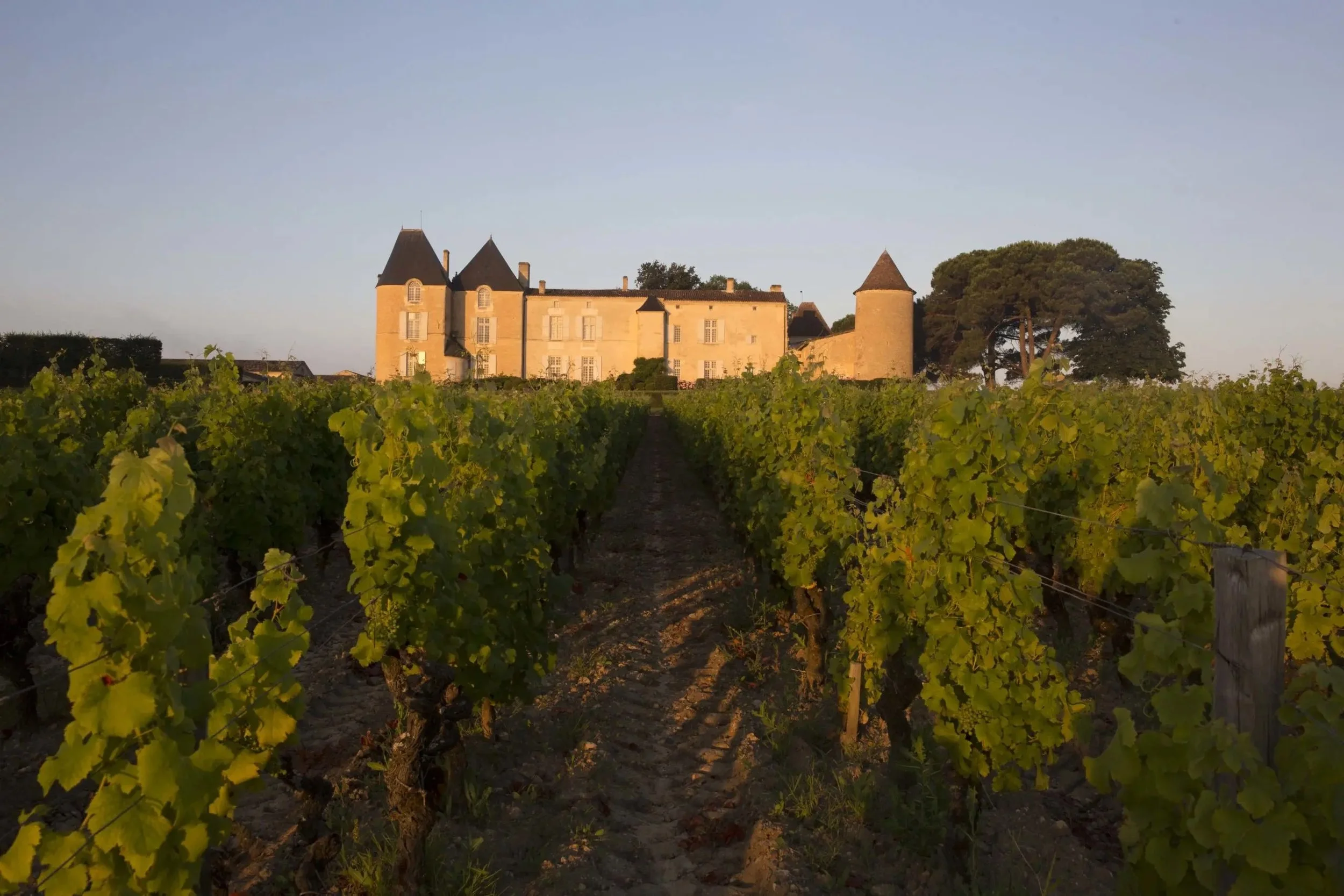Château d'Yquem in Sauternes seen from the vineyard at dusk
