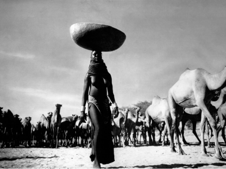 Imagens da exposição A Elegância do Olhar, de Sebastião Salgado e Mirella Ricciardi