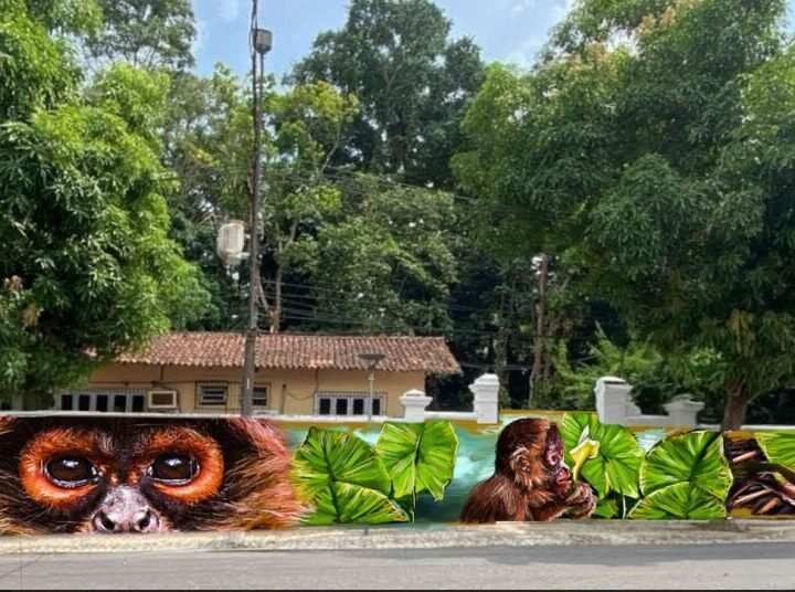 Belém: the museum wall becomes a public gallery