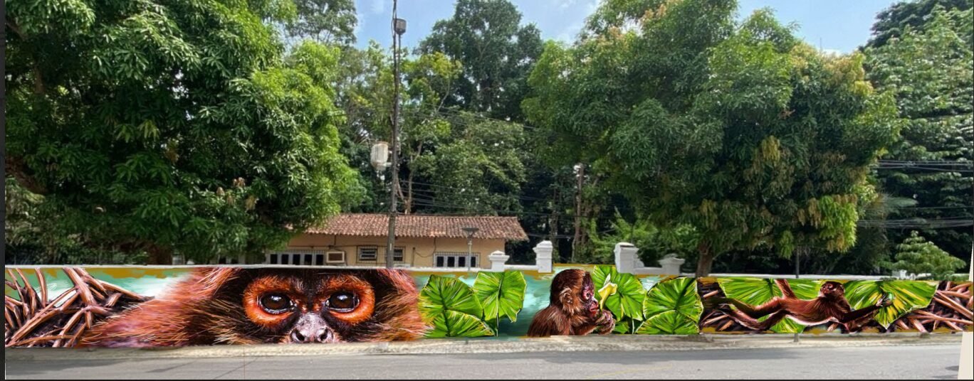 Belém: the museum wall becomes a public gallery