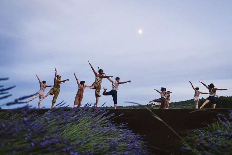 Angelin Preljocaj's dancers in a lavender field in Provence
