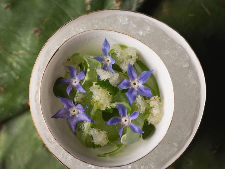 Onildo Rocha: Chapada Diamantina enters the São Paulo kitchen