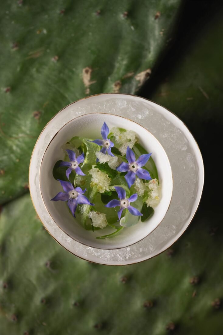Onildo Rocha: Chapada Diamantina enters the São Paulo kitchen