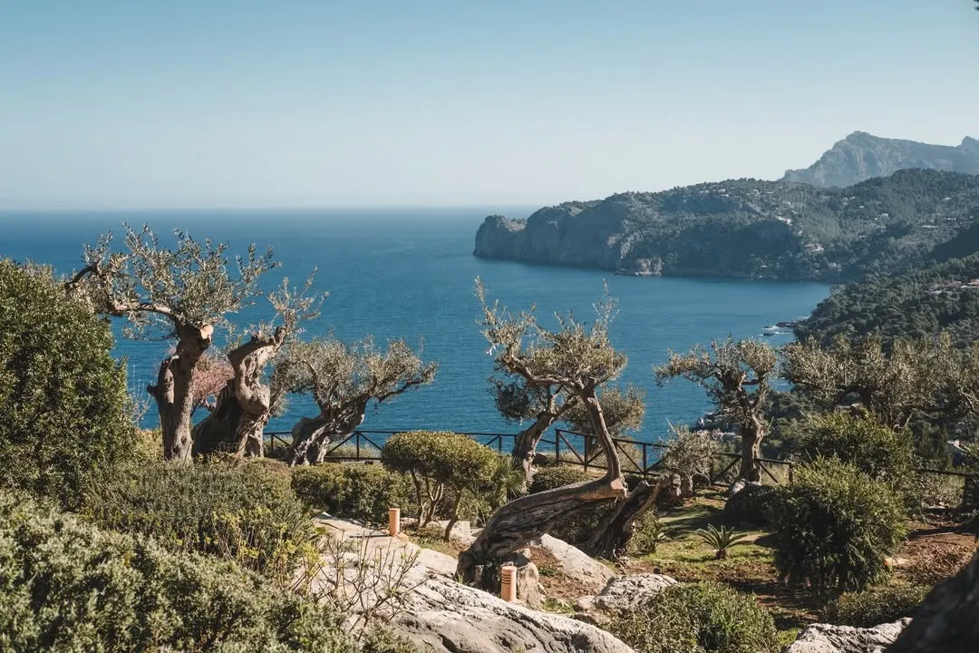 Pool at Sa Pedrissa facing the Serra de Tramuntana