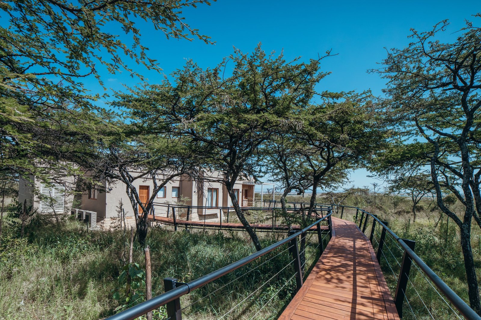 Zamara Private, the six-suite safari residence in the Maasai Mara, Kenya